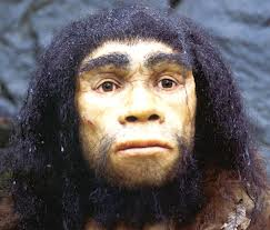 Depiction of what homo Heidelbergensis is thought to have looked like (image obtained from google images)